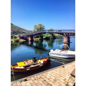 fishing day tursenia